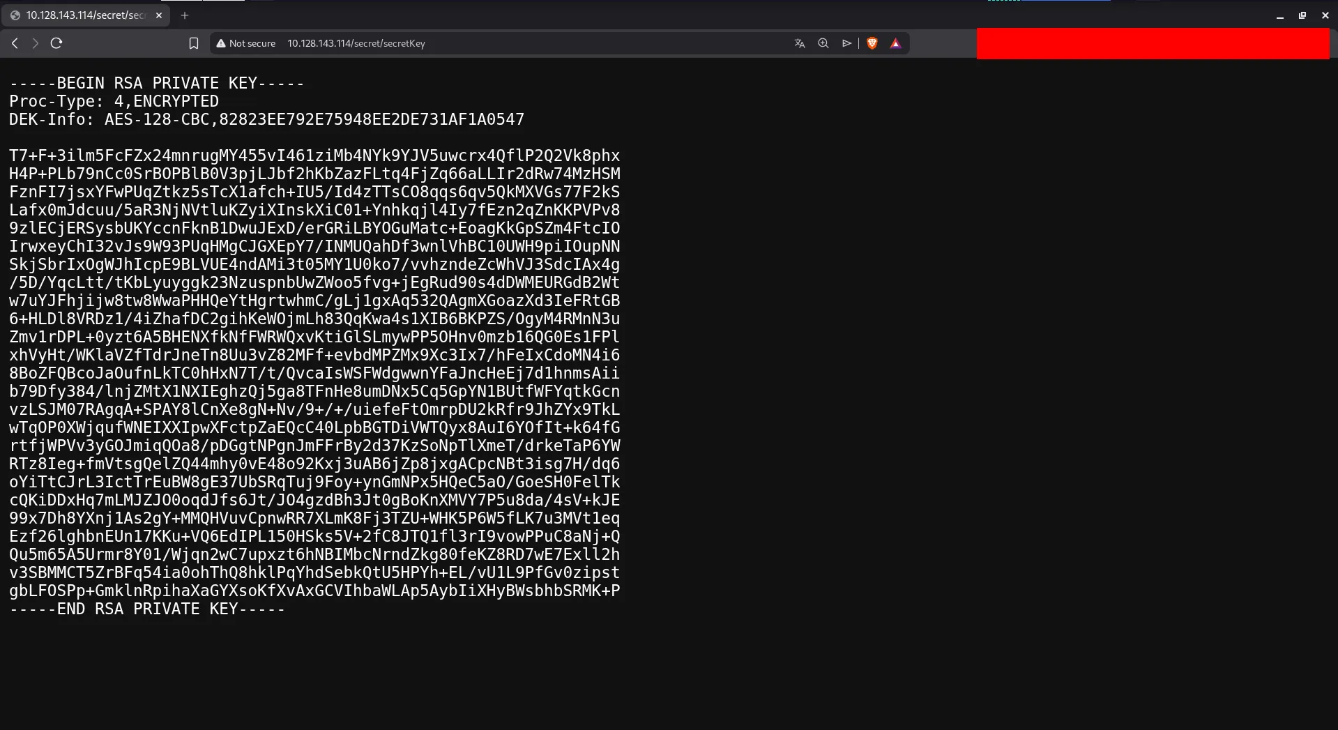 Downloaded wordlist file