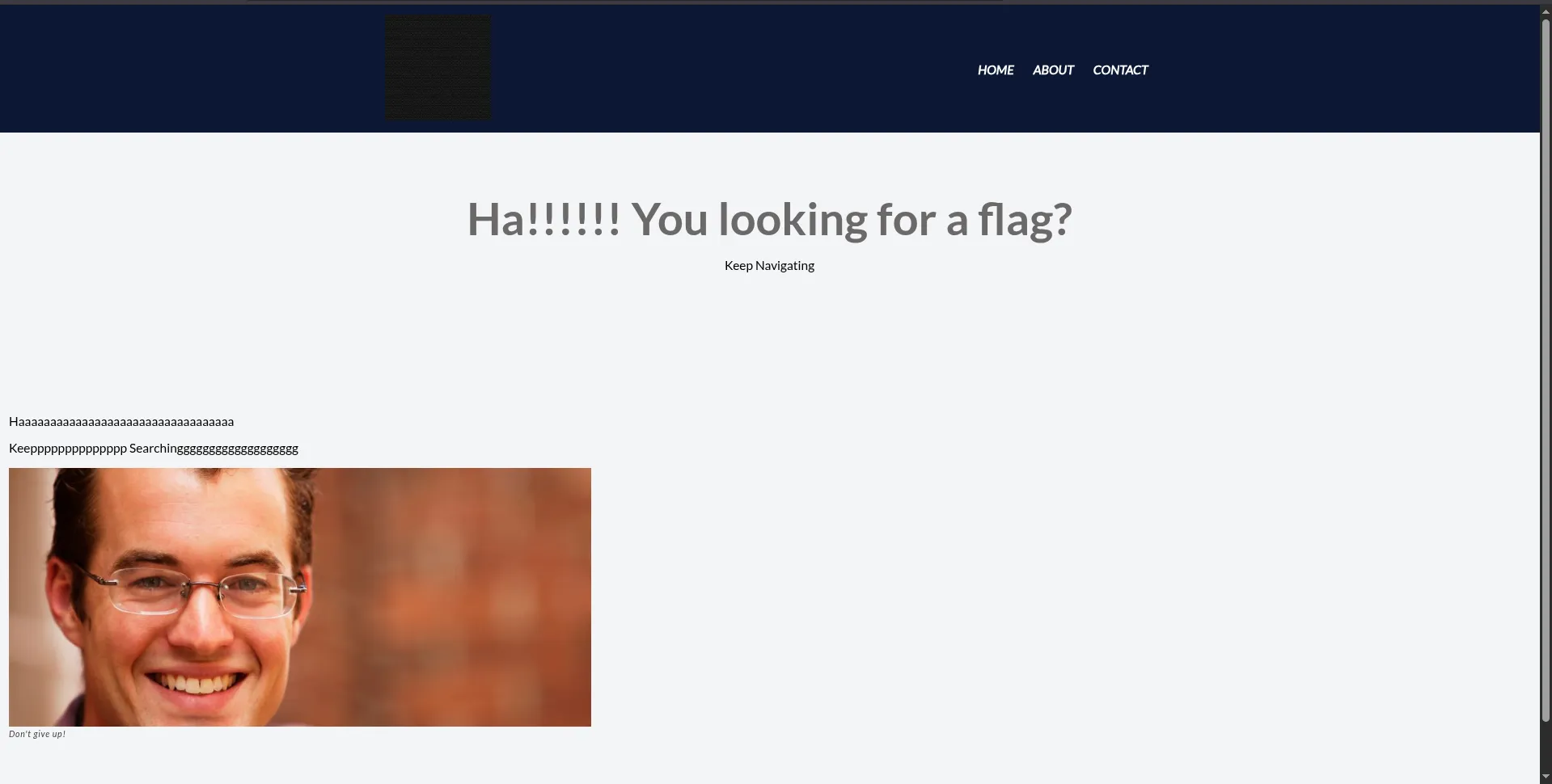 Hint found in about page