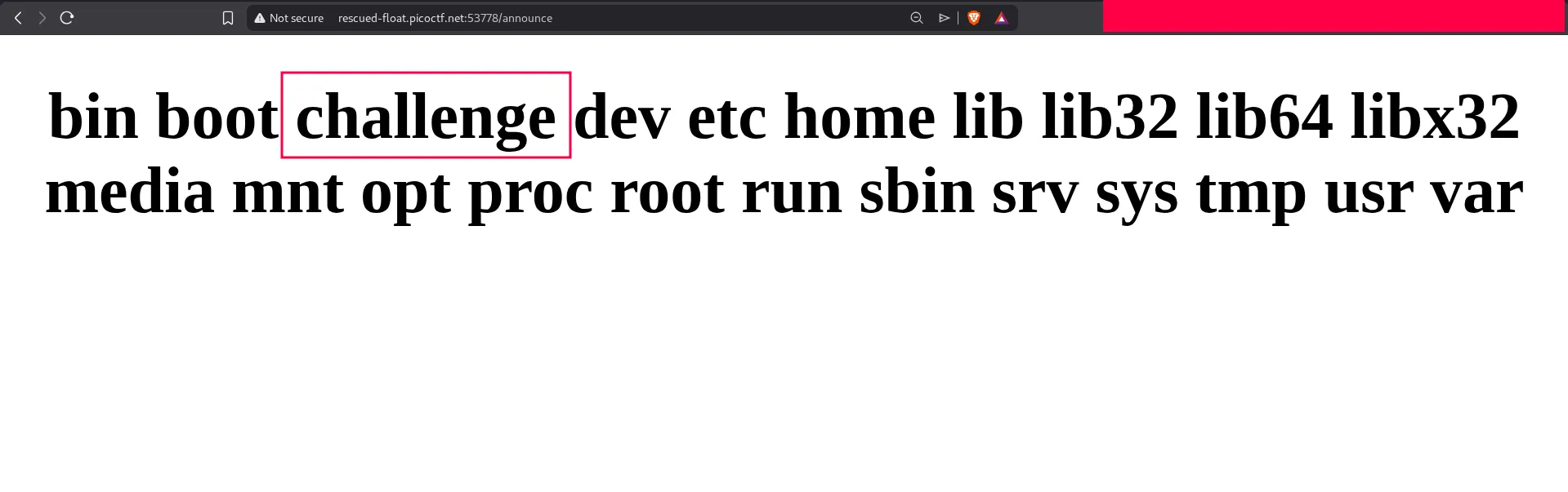 Root directory listing