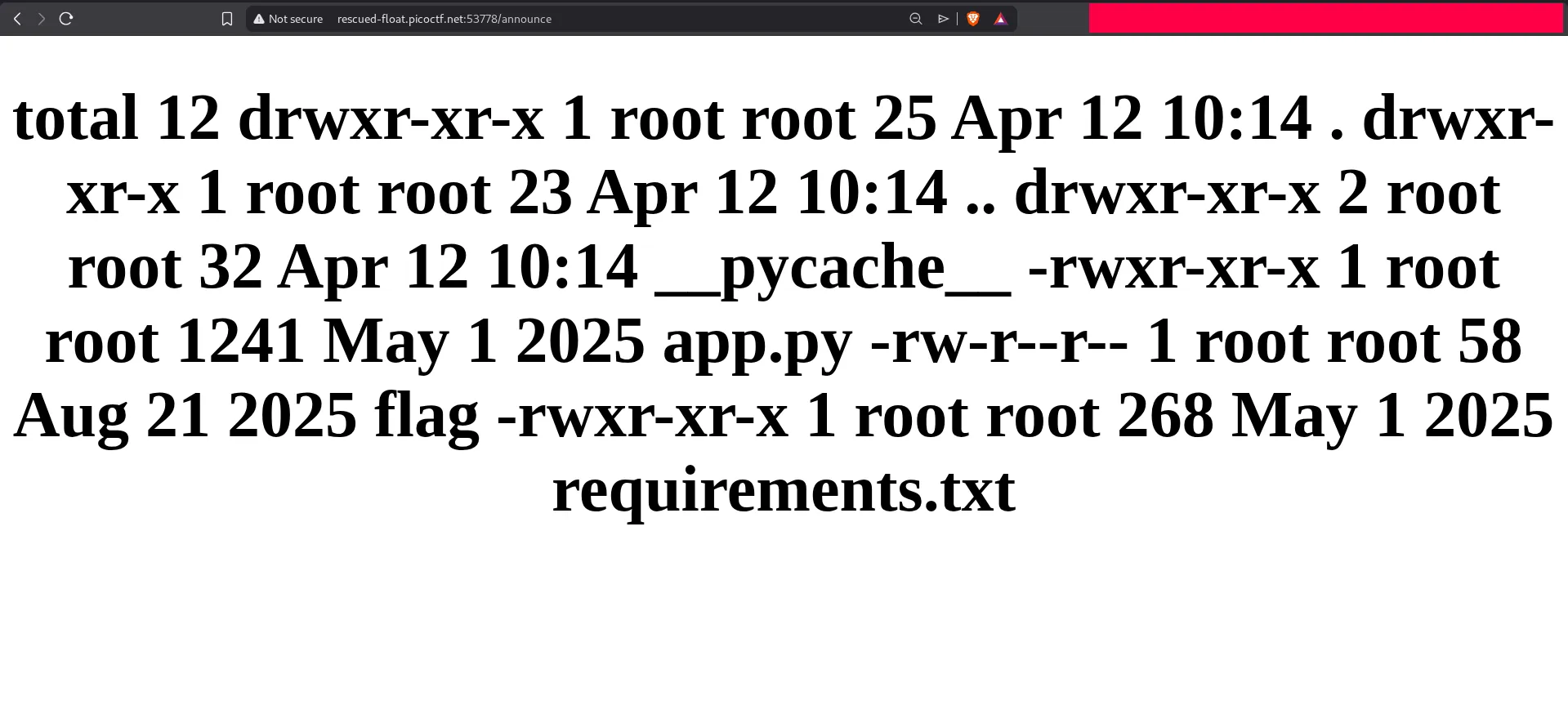 Listing files in challenge directory