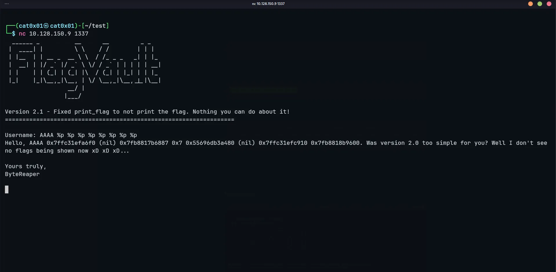 Manual format string leak test