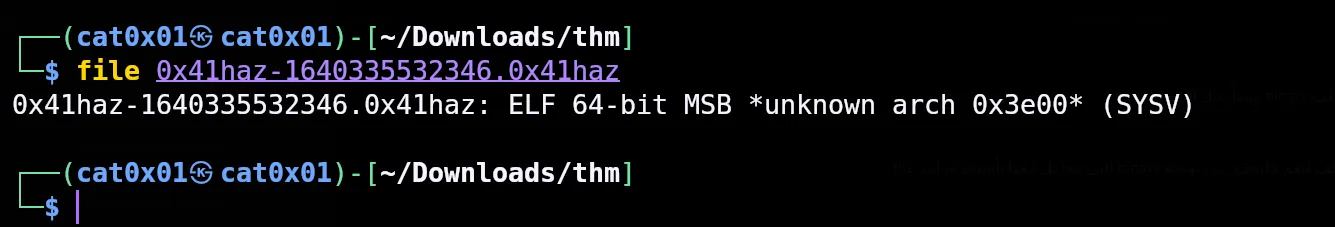 Initial file command output