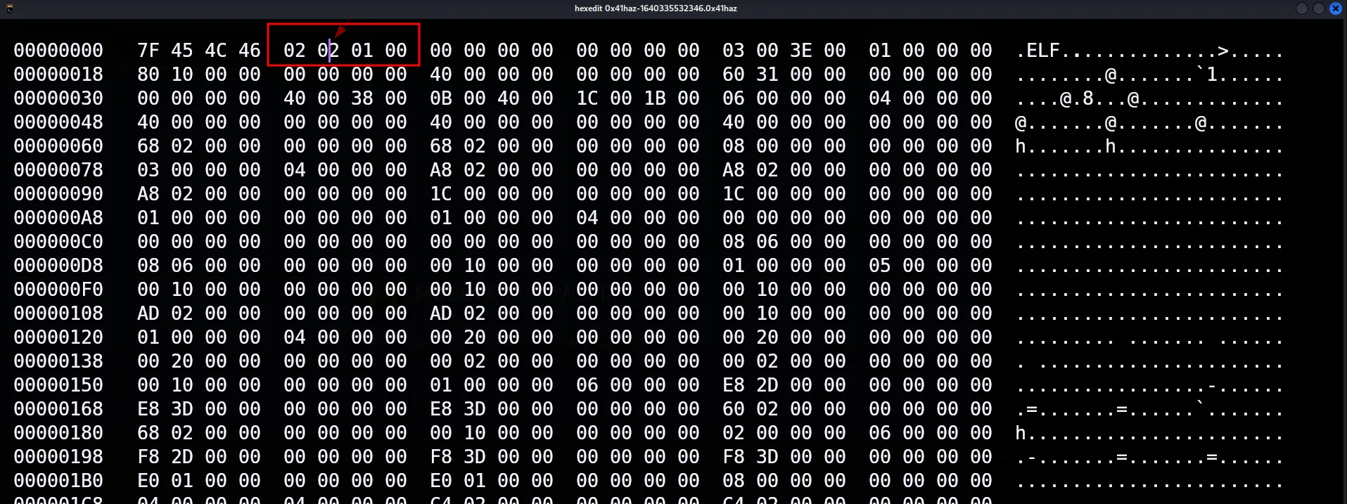 Opening the binary in hexedit