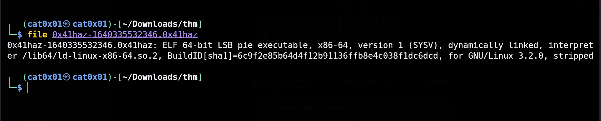 File command output after fixing the ELF header