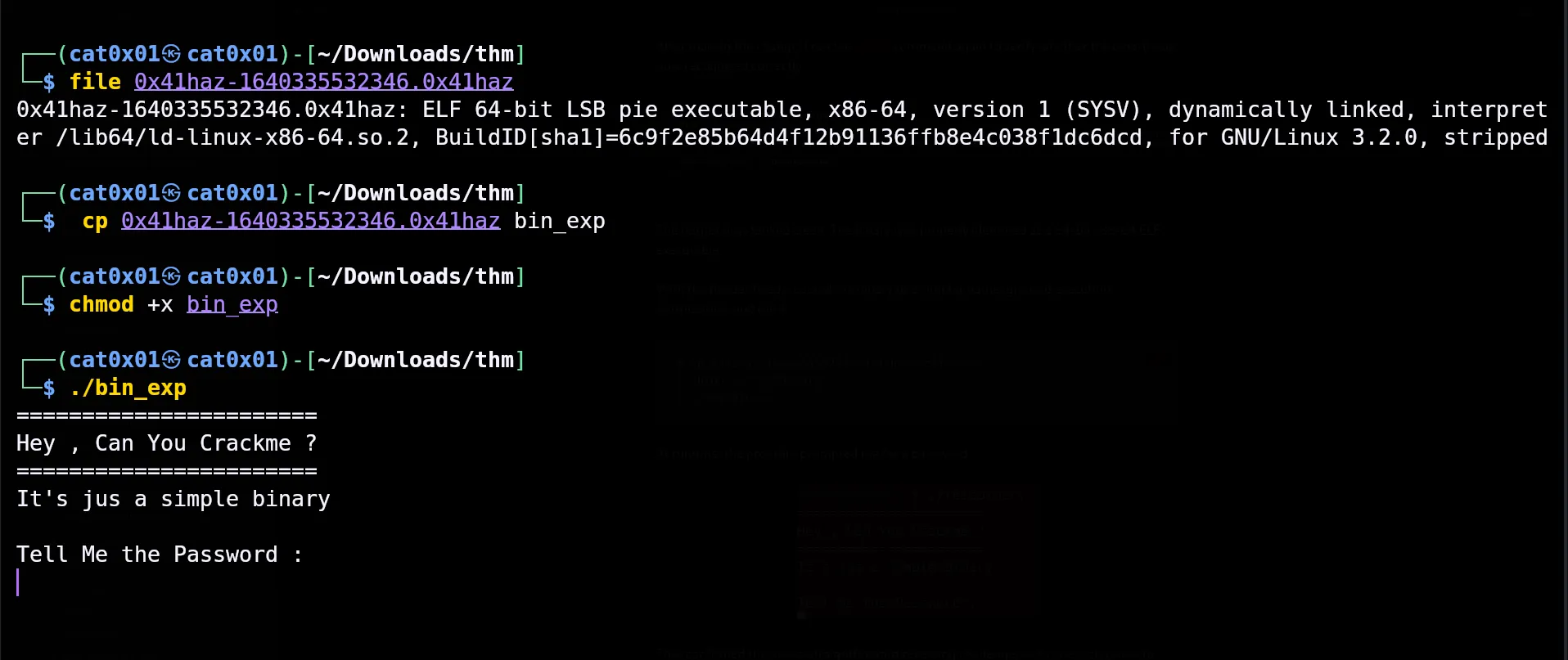 Copying, making executable, and running the binary