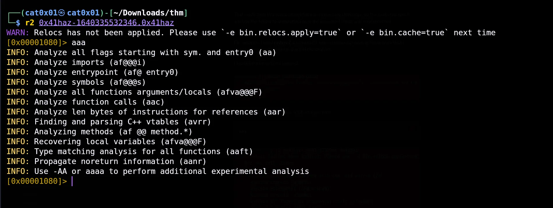 Analyzing the binary with radare2