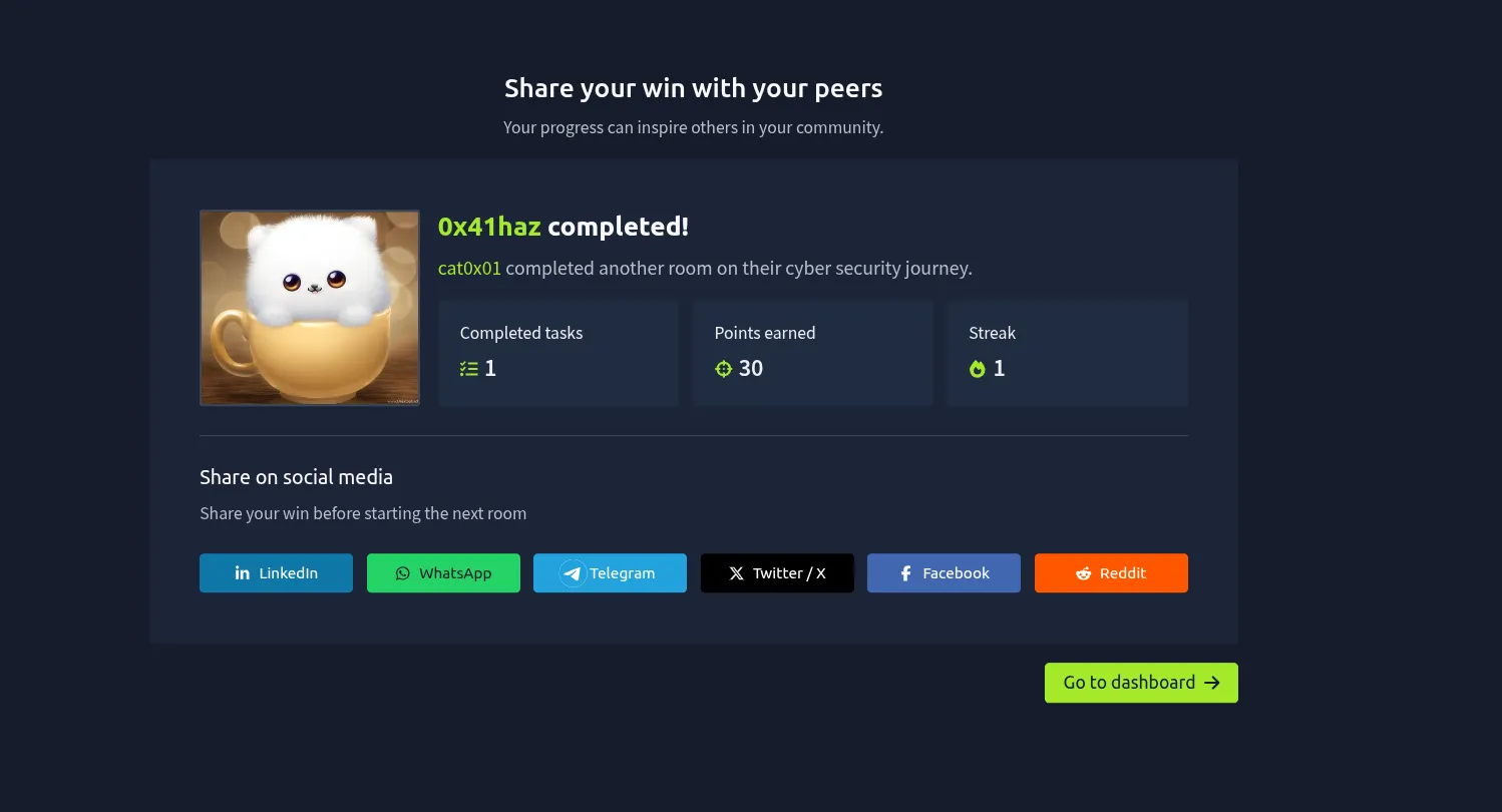 TryHackMe 0x41haz challenge completed