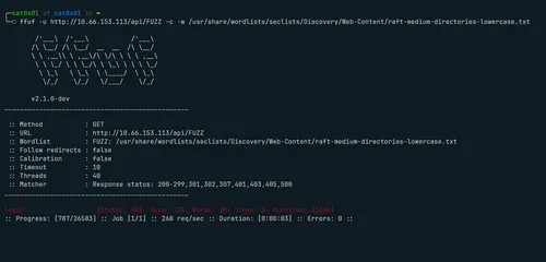 ffuf /api scan