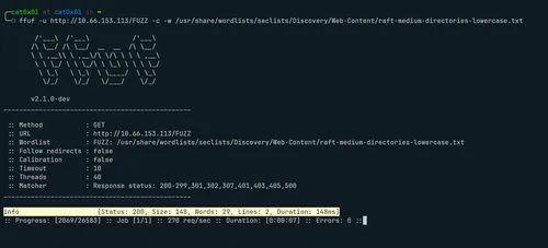 ffuf root scan